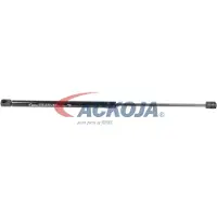 ACKOJA A38-0133 Gasveer achterklep