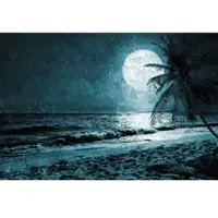 Architects Paper Fotobehang BeachAtNight3 DD117615 Atelier 47 | Fotobehang