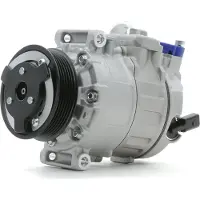 RIDEX 447K0420 Aircopomp
