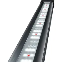 Tetra Tetronic LED ProLine 780 aquariumverlichting - 6000 kelvin - 7 x 12 x 81.2 cm