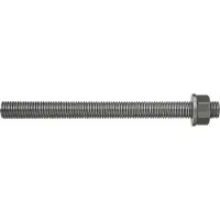Fischer 562855 FIS A M 10 x 160 R Ankerstang 10 stuk(s)