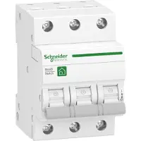 Schneider Schakelaar-ontkoppelaar