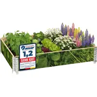 Garronda Kweekbak Palletrand Met Print – Natuurlijk - Bloemen - Kruiden - Palletframe - Natuurlijke Verhoogde Bloembedden – 120x80 cm – Blad-1 - GD-BUD-PAL-SET