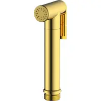 Omnires Bidetta - Bidetdouche, goud BIDETTA2-RGL