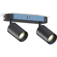 Calex Plafondlamp - 2-Lichts - Opbouwspot - Ovaal - Zwart - Goud