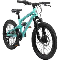 Bikestar MTB kinderfiets 20 inch mint unisex