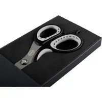 FASCIQ High Quality schaar