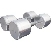 Gorilla Sports Dumbellset 20 kg (2 x 10 kg) Chroom