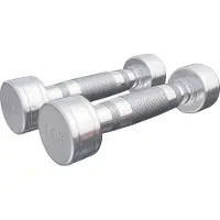 Gorilla Sports Dumbellset 2 kg (2 x 1 kg) Chroom