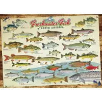 Cobble Hill Cobblehill 80094 1000 st Zoetwatervissen van N. Amerika Puzzel Diverse