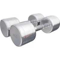 Gorilla Sports Dumbellset 18 kg (2 x 9 kg) Chroom