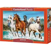 Castorland Call of Nature Puzzel (2000 stukjes)
