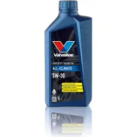 Valvoline 872288 Motorolie