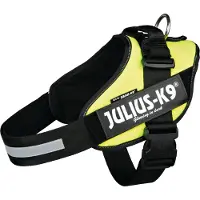 JULIUS K-9 IDC Powertuig Neon Groen - Maat 2