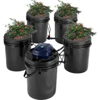 Vevor RDWC Hydroponic Growing System