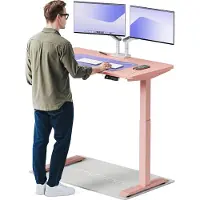 Desktronic HomeOne Zit-sta Bureau Elektrisch In Hoogte Verstelbaar, 120x60 cm Roze/Roze, Stille Dubbele Motor, Hoogte 72-119cm