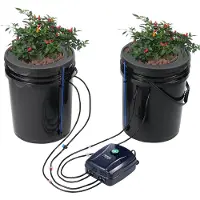 Vevor DWC Hydroponics Grow System