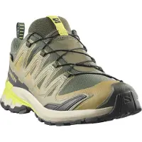 Salomon XA PRO 3D V9 GTX, trailschoen, heren, groen