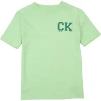 Calvin Klein Shirt groen / lichtgroen