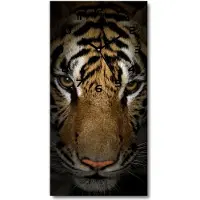 Tulup Wandklok - Tijger Wandklok Glas Met Motief - 30x60 cm - Bruin Decoratieve Glazen Klok - Zwarte handen - Rechthoekige Klok - Gekleurde Glazen Klok - Glazen Klok Met Print