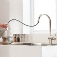 CECIPA Keuken Kraan - Keukenkraan Met Uittrekbare Uitloop - 2 straalsoorten Spoelmengkraan - 360° graden draaibaar - keukenkranen Zilver