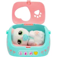 Baby Paws Just Born Cat (264-923485) Teddy Roze Kinderen