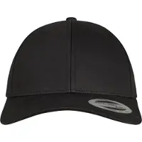 Flexfit Pet zwart / wit