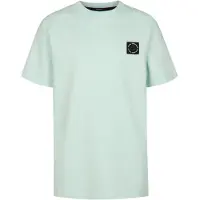Petrol Industries Shirt groen