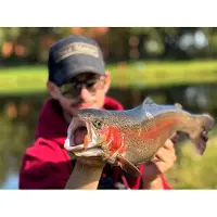 Trout Master Serc Spoon 1.6g (1 pc) - Kleur : Dark Shadow