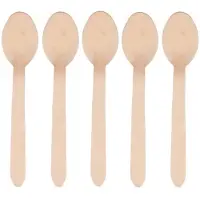 Papstar Houten wegwerp bestek lepels - 75x stuks - 16 cm - Verjaardag/bbq