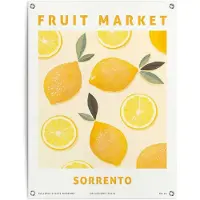 Reinders! - Lemons - Tuinposter 80x60cm Geel