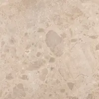 Valence Technology Solmara vloertegel 100x100cm beige gerectificeerd