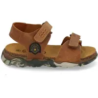 Develab 48493 757 cognac (21-3)
