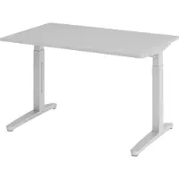 Hjh OFFICE PRO XTRA XB 12 SS - Grijs 120x80 Tafelhoogte I In hoogte verstelbaar
