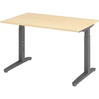 Hjh OFFICE PRO XTRA XB 12 GG - Esdoorn 120x80 Tafelhoogte I In hoogte verstelbaar
