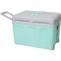 Incasa 40L thermoelectric cooler - 12/220V power supply - Green - Ideal for summer in the car