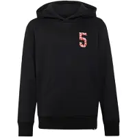 Adidas AUDI REVOLUT F1 TEAM GABRIEL BORTOLETO GRAPHIC II HOODIE