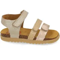 Develab 48520 359 gold (25-3)