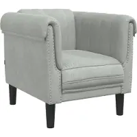 vidaXL - Fauteuil - fluweel - lichtgrijs