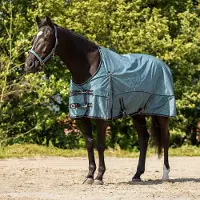 QHP - Regendeken Turnout Collection - 0gr - Palm Green - Maat 195