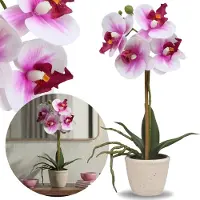 Sarcia.eu Kunstmatige orchidee, wit-roze orchidee in pot, levensecht, decoratieve bloem PREMIUM 30 cm