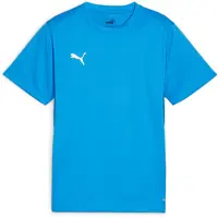 Puma Trainingsshirt teamGOAL - Blauw/Wit Kids