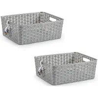 PlasticForte Opbergmand - 2x - Kastmand - rotan kunststof - zilver - 12 Liter - 30 x 37 x 13 cm