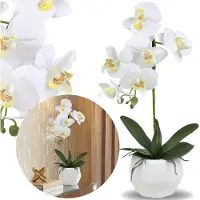 Sarcia.eu Witte kunst orchidee, orchidee in een glazen schaal, AS LIVE, sierbloem PREMIUM 42 cm