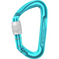Edelrid Pure Screw Karabiner (Maat 000, Turquoise)