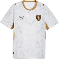 Puma Tricot 'Tschechien 2026' bruin / goudgeel / grijs / wit