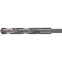 RUKO 2004110 DIN 338 Typ N HSS-G Spiraalboor 11 mm Gezamenlijke lengte 142 mm DIN 338 1 stuk(s)