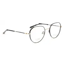 Ana Hickmann Optical Frame HI1247T 09A 50 Titanium