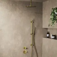 Saniclear Uni inbouw regendouche 25cm geborsteld messing PVD met plafondarm, glijstang en staafhanddouche