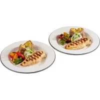 Aps Plat geëmailleerd bord, diameter: 260 mm, set van 2, Bord, Zilver